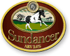 Sundancer